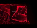 WangleLine - Pigment Red [Full Album]