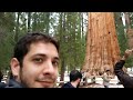 Viaje a California (EEUU) - Sequoia Park