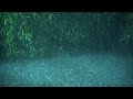 Beat Tinnitus with Heavy Rain on Lake, Calm Thunder in Deep Forest - Real Rain Sounds for Sleeping