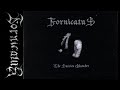Fornicatus | The Suicide Chamber | FIN Raw Black/DSBM | 2008 Full Demo