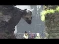 The Last Guardian // Análisis // Épico y emotivo