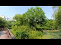 [4K]난지천공원 Relaxation Forest walk with Bird Singing and Forest Sounds, Seoul Nanjicheon Park.ASMR