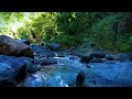 Deep sleep water sounds relax mountain stream healing positive energy soothing