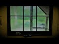 Thunderstorm Cabin Window Sleep Sounds - Rain, sleep, relax, study