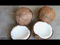 Making a Coconut Scraper Machine | Very Powerful