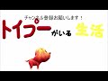 バカ犬なんていなくなれ！【トイプードルがいる生活】