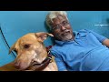 Pranking COCO with TOY DOG! 😂| பொறாமையில் பொங்கிய Coco😝