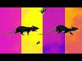 Fly & Rat 🐀🪰 | Cat Games | Video for Cats | Cat TV (2023)