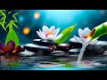 Relaxing Music Relieves Stress, Anxiety and Depression - Heals The Mind, Body and Soul - Deep Sleep.