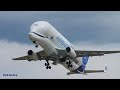 Airbus Beluga XL2 | F-GXLH | Finkenwerder Airport 4K