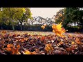 Alone With GOD: Christian Piano | Prayer &  Instrumental Worship with Scriptures & Autumn scene