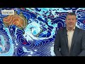 Large low looms for NZ - we break it down for you