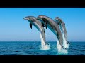 ♪♪♪ 40 MIN Cool Music Playlist ♪♪♪ The Best Cool Music 2014 ♪♪♪