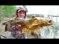 PESCA VARIADA Y FRITANGA EN ZARATE, HERMOSO LUGAR EN EL RIO TALAVERA