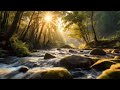 Relaxation Music Soothing & Healing Soul with Soft Piano, Water Sound Meditation #relaxing #music