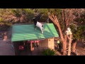 billy the kid on the roof 1