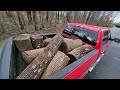 Free Roadside Firewood Part 2...Going Back For More!