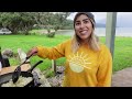 Hot Springs on the Beach | New Zealand Activities