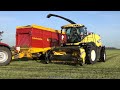 Grass Silage | NLR Agri | New Holland FR600 + Case IH + Deutz-Fahr | Heerikhuize | 2024