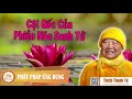 Cội Gốc Của Phiền Não Sinh Tử - HT Thích Thanh Từ