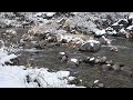 Calm and quiet, the sound of water on a cold, snowy winter river ASMR