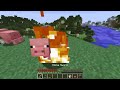PREGNANT SPEEDRUNNER Vs HUNTER: Mikey And JJ In Minecraft - Maizen