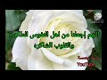 اللهم افتح لنا ابواب الصباح بمفاتيح الرحمه و الفلاح 🤲
