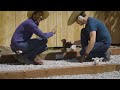 How we built our Gravel Pad  Shed Foundation // Shed Build: Part 1