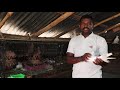 Pura Valarpu Tamil  | புறா வளர்ப்பில் அசத்தும் பள்ளி  ஆசிரியர் | how to make pigeon cage