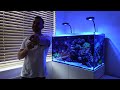 INCREDIBLE mixed Reef aquarium | FULL tour | Tank tours