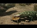 Croc Infested Waters! - Life Of A Deinosuchus | Path Of Titans