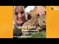 175 Pound Tortoise Is The King Of His Household | The Dodo