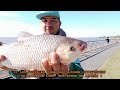 MUCHA PESCA EN LA BAJADA DE AUTOPISTA !!! Pesca variada en la ciudad