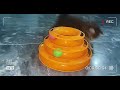 Kitten playing with an interactive cat toy of 3 levels tower | Persian cat 🐾😍 #catplays #viral