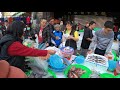 Taiwan Seafood Auction - Beautiful Fish Salmon Fish Cutting Octopus Squid Sell Low Price