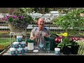 Why You Need to Fertilize Your Plants