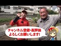 How to grow vegetables Q&A! 10/17-10/23 Japanese farmers answer questions about cultivation !