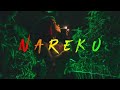 Nareku - Ragga Mix (Reggae, Raggastep, Dub)