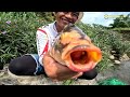 Baru kali ini menjala ikan  dapat ikan aneh..😱 cuma sungai dangkal di huni ribuan ikan babon..‼️