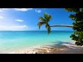 Island Relaxation: Tropical Beach Ambience & Ocean Sounds For Deep Sleep (4K Video)