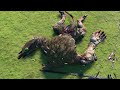 High Elves VS Skaven - Total War: WARHAMMER 3 Cinematic Battle