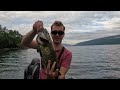 The Most CONTROVERSIAL Fish ep.2- Chain Pickerel