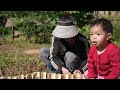 FULL VIDEO/ 60 days: Restore & Build Abandoned Farm (Free) | Growing - Harvesting