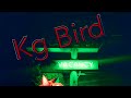 KG Bird - We Get Along With Them
