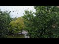34 minutes of Most beautiful rain sound | thunder | birds | for Study, Relax, Meditation or Sleep