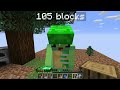 Minecraft But The World IS ONLY ONE BLOCK!