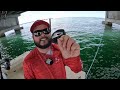 Snapper Fishing the Skyway Bridge Pilings  - DON'T Do this!