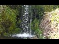 Refreshing river water gently cascades over the moss covered rocks relaxing the mind and soul