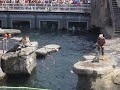 Hannover Zoo 4