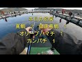 海上釣堀【日向】やはり大枡は難しかった！